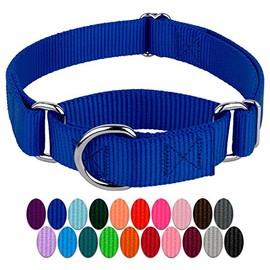 Country Brook Petz - Martingale Heavyduty Nylon Dog Collar (Medium, 1 Inch Wide, Royal Blue)
