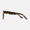 CARVE Eyewear Pheonix Sunglasses, Gloss Crystal Tortoise Frame with Brown