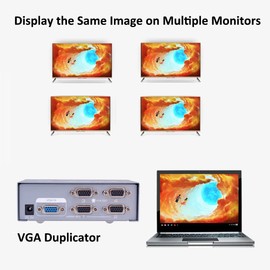 DTECH Powered 4 Port VGA Splitter Box Video Distribution Duplicator for 1 PC to Multiple Monitors Projector