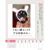 Wing Life is Nyan! CL-384 Tabletop/Wall Hanging, 2026 Calendar, 7.1