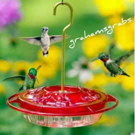 ASPECTS LITTLE FANCY HUMMZINGER HUMMINGBIRD FEEDER BUILT IN MOAT MADE IN USA 382