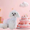 FLAdorepet Dog Birthday Outfits Dress with Crown,Pet Cat Tutu Skirt