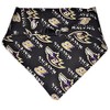Baltimore Football Dog Bandana (Medium)