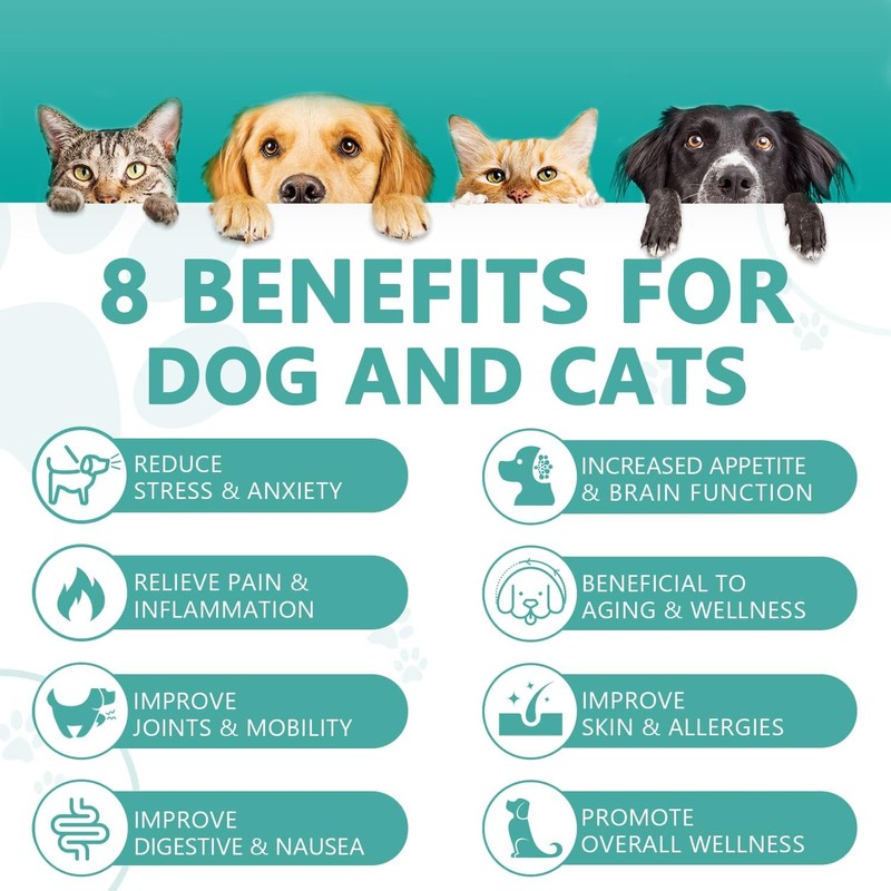 HMone Dog Relaxants Dog Herbal Supplements Oil for Cat Drops