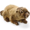 Carl Dick Marmot 10 inches, 25cm, Plush Toy, Soft Toy