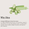 Dongsung Rannce Okra Cream for Face Wrinkle improvement Anti Aging