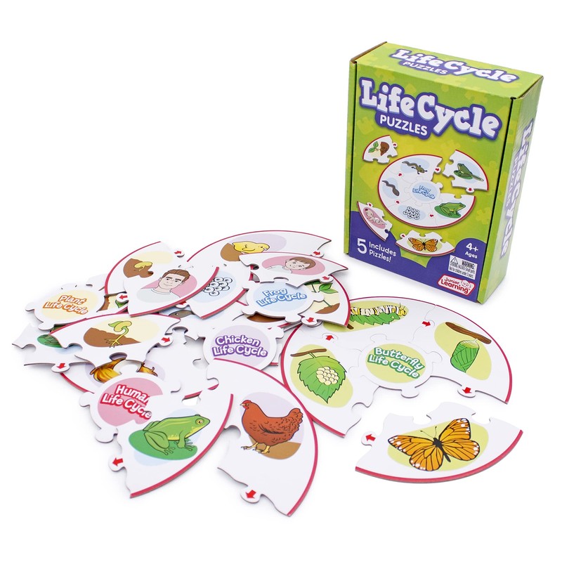 Junior Learning Life Cycle Science Learning Puzzles