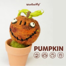 Woolbuddy Fake Plant Felted Succulent - Pumpkin, Cute Desk Decor – Small Artificial Plant for Office, Coffee Table, or Living Room, Perfect for Small Spaces, Easy to Maintain and Stylish