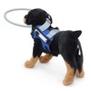 Dog Ring Harness with D-Ring, Lightweight Blind Dog Assistance Device,