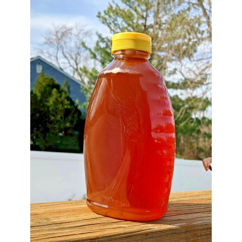 NATURZ BEEZ RAW HONEY CLOVER 2 LBS Squeeze Bottle 100%