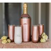 Vinglacé Wine Bottle Chiller- Portable Champagne Insulator- Stainless Steel Wine