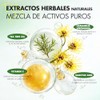 Sérum Facial Hidratante con Tea Tree, Fórmula Ligera y Suave