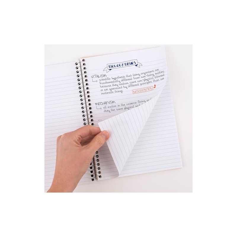 Five Star Cuaderno Espiral 2 Temas 100 Hojas Rayado Universitario