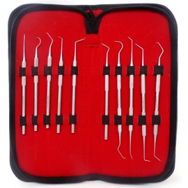 Dental Care Set Dentist Tools Kit of 10 Pcs Professional Calculus and Plaque Remover Dental Hygiene Set Made of Stainless Steel Tarter Removing Probes, Tooth Pick for Teeth Oral Care