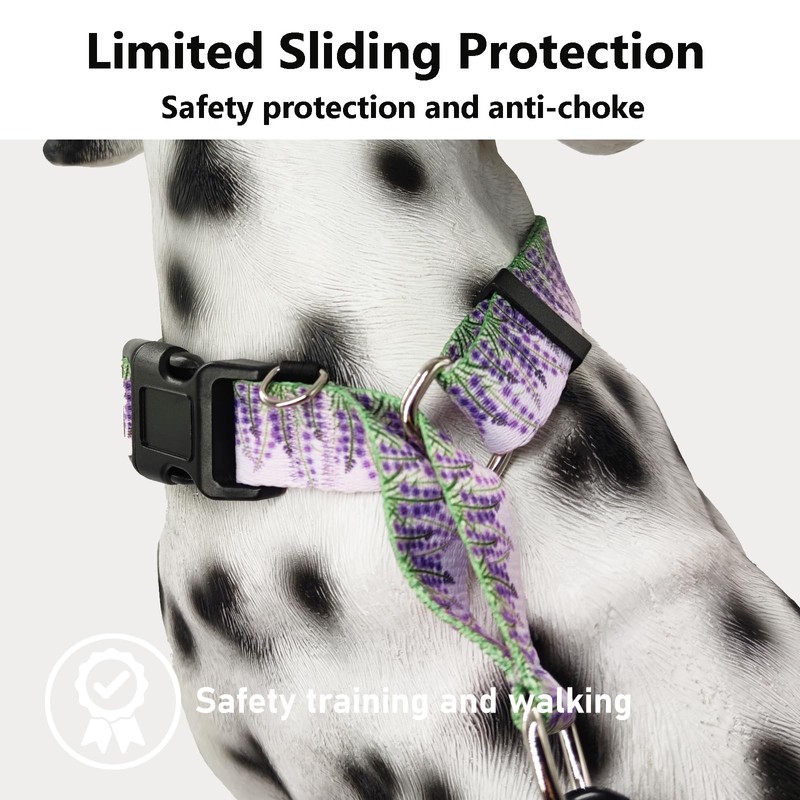 Fidohug Martingale Collar for Dogs with Buckle Floral No Pull