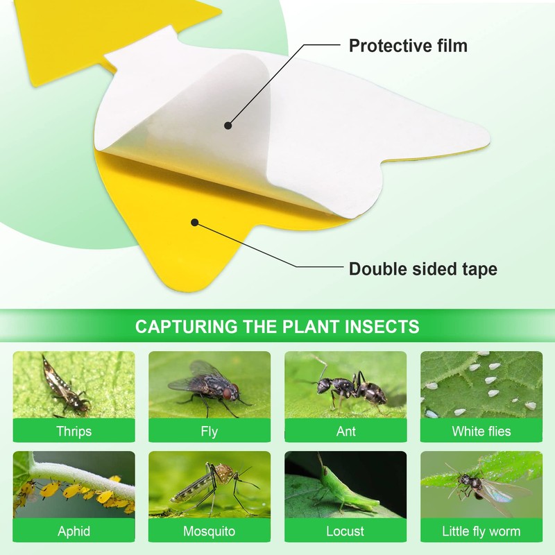 40 Pcs 5 Shapes Yellow Extremely Sticky Traps for Fungus
