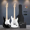 39" Full Size Electric Guitar Starter Kit for Beginners -