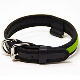 Logical Leather Premium Leather Dog Collar - Best Full Grain Heavy Duty Genuine Leather Collar (Lime, Medium)