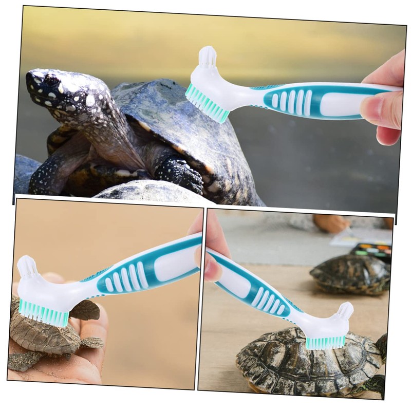 2pcs Turtle Shell Cleaning Brush Glass Bottle Bristle Brush, Bristle