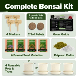 Home Grown Bonsai Tree Kit, Grow Your Own: Premium 4 Bonsai Trees Starter Kit | Unique Japanese Gifts for Moms Who Have Everything, Women, Men | Gardening Plant Gift for Beginners & Gardeners