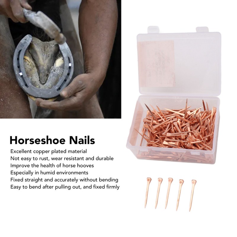 250Pcs Horseshoe Nails Copper Plated Rustproof Equestrian Riding Equipment Pet