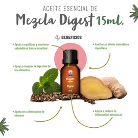 OLEUM VITAE Mezcla DIGEST con Aceites Esenciales de Menta, Jengibre, Cardamomo, Hinojo, Tomillo y Cilantro. 100% Puros y Orgánicos. 15ml. Hecho en India