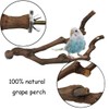 kathson Natural Parrot Perch Bird Stand Pole Wild Grape Stick
