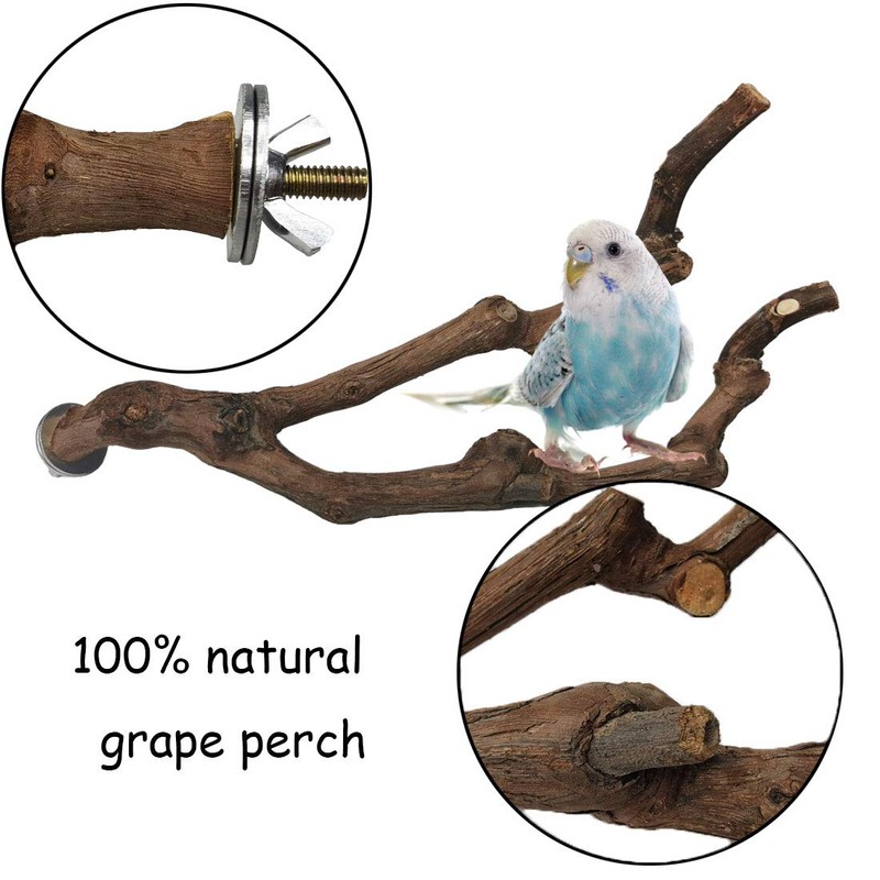 kathson Natural Parrot Perch Bird Stand Pole Wild Grape Stick