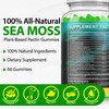 Sea Moss Gummies with Elderberry Black Seed Oil Ashwagandha Ginger