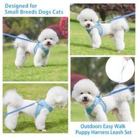 PETPUBGNZS Cute Plaid No Pull Dog Harness for Small Dogs Soft Mesh Small Dog Harness and Leash Set Easy Walk Step in Puppy Harness Vest Pet Cat Chihuahua Yorkie Shih Tzu Dog Harnesses (Blue,XS)