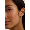 Ted Baker Sinee Mini Crystal Stud Earrings For Women (Gold/Crystal)