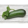Summer Squash, Zucchini Cashflow Hybrid Seeds