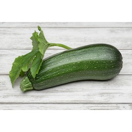 Summer Squash, Zucchini Cashflow Hybrid Seeds