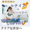 ルテイン 60日分 フリー体ルテイン 60mg 濃縮ブルーベリー 国内製造 サプリ