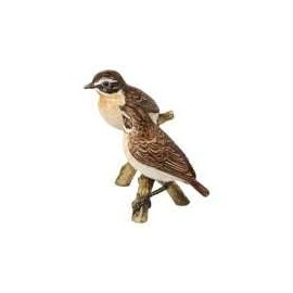 Goebel Bird of the Year 2023 Pair of Brownthroat Figurine