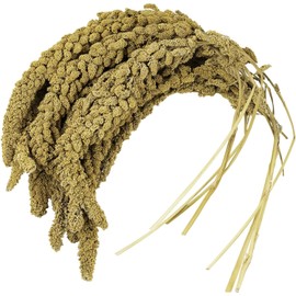 Birds LOVE French Kissed Spray Millet for Birds - Parakeets, Cockatiels, Lovebirds, Finches, Budgies, Canaries, Cockatoos - Natural & Healthy Bird Millet - Parakeet Food & Treats for All Parrots 1lb