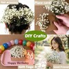 100PCS Dried Pressed Flowers,Natural Baby Breath Dried,Dry Flowers