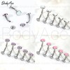 BodyAce ASTM F136 Titanium Belly Bars, 14G Internally Threaded Belly