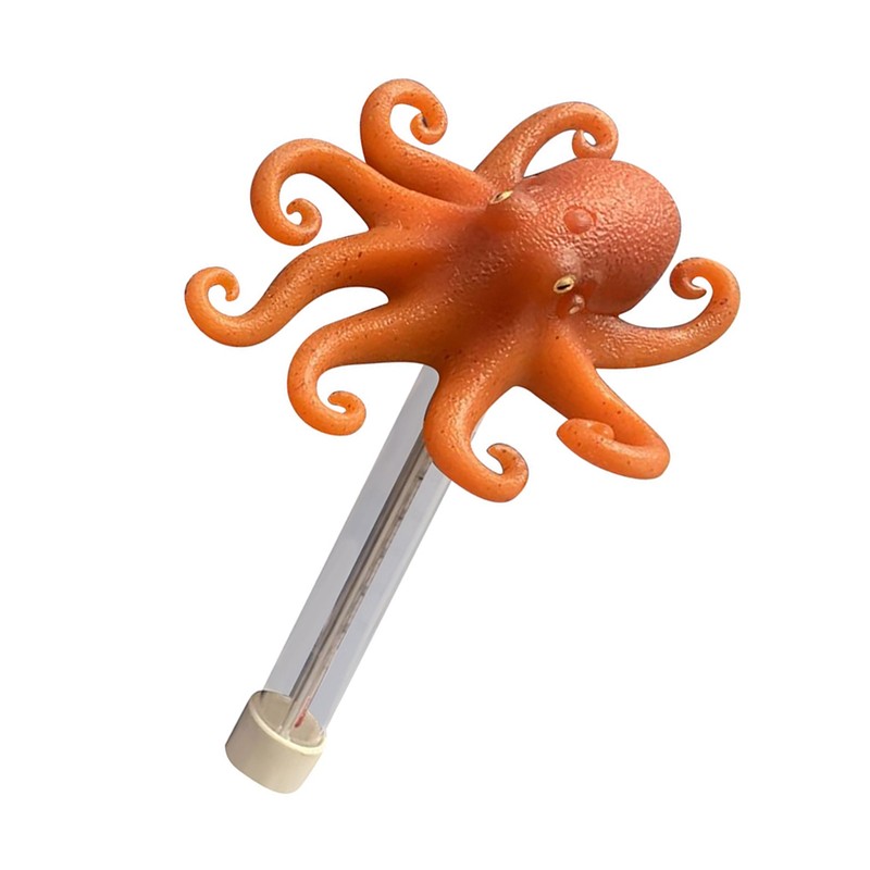 Floating Pool Thermometer for Water Temperature Thermometer for Swimming Pool