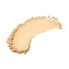 Jane Iredale Amazing Base Refillable Brush SPF20 5g, Amber