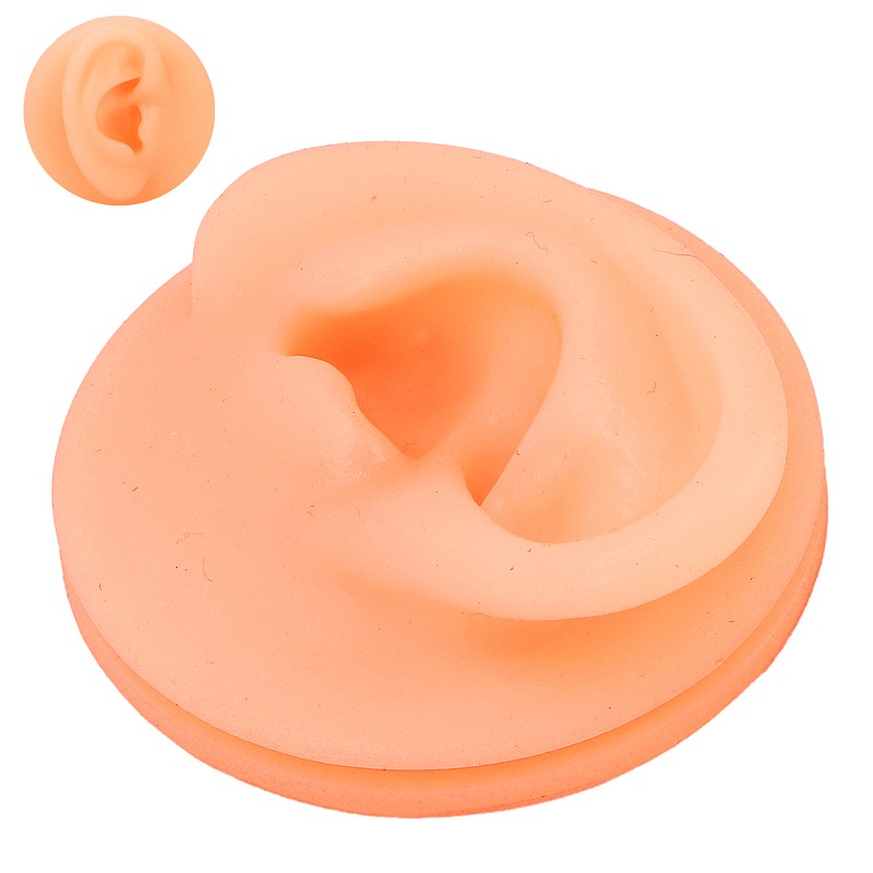 Silicone Ear Acupuncture Practice Model Reusable Simulation Ear Display Model