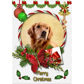 Golden Retriever Dog Christmas Card White 'Merry Christmas' - Special Animal Xmas Card for Him Her from Pets Kids