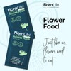 FloraLife Fresh-Cut Flower Food - Sachet Multi-Nutrient & Hydration Solution