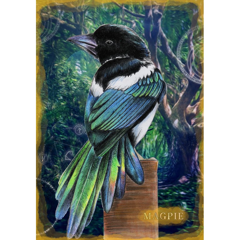 Animal Communication Oracle Cards with Anita Denise