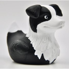 Border Collie Duck,  Ducking, Get Ducked, Duck Duck Jeep