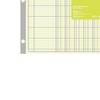 Staples 217893 Columnar Pads 13 Columns 11-Inch x 16 5/16-Inch
