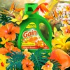 Gain + Aroma Boost Liquid Laundry Detergent, Island Fresh Scent,