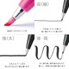 Pentel SES15C-36STH Brush Touch Sign Pen, Set of 36 Colors