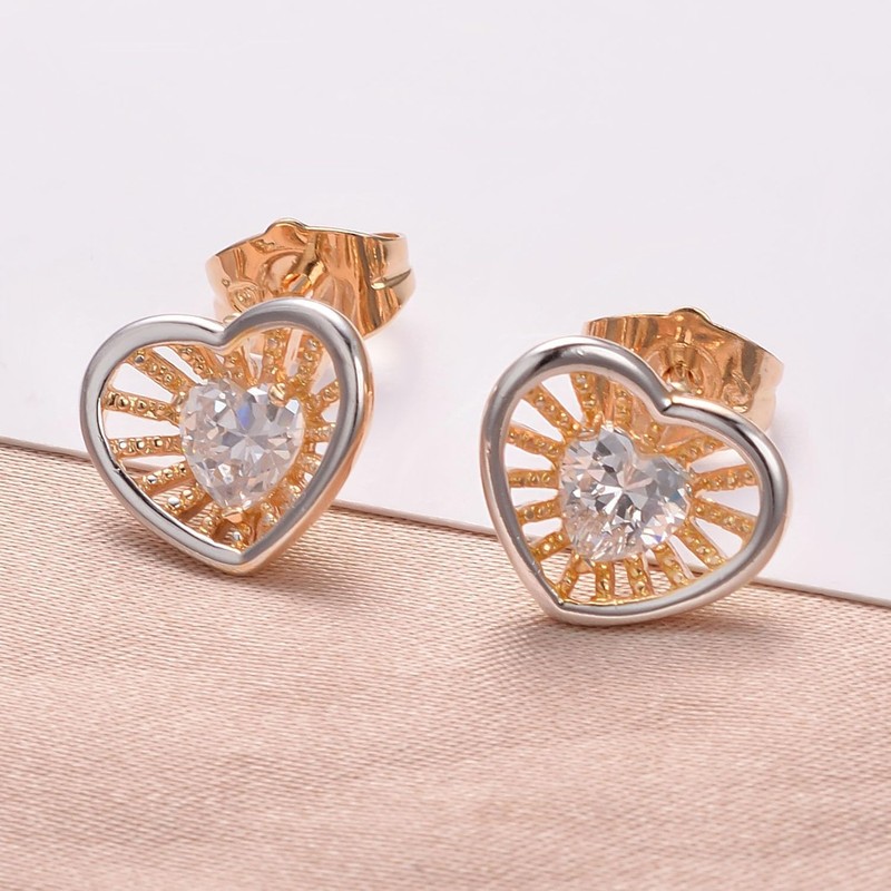Vissen Heart Earrings Silver 925 and Gold Stud Earrings Cubic