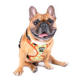 iChoue Dog Vest Harness No Pull Adjustable Reflective for Small Medium Dogs - Kiwi Fruit M